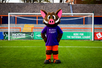 BUDDY THE BOAR